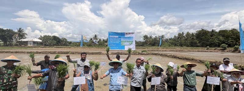 PT Vale Kolaborasi Padi Berkelanjutan untuk Hadirkan Transformasi Pertanian Berbasis Inovasi