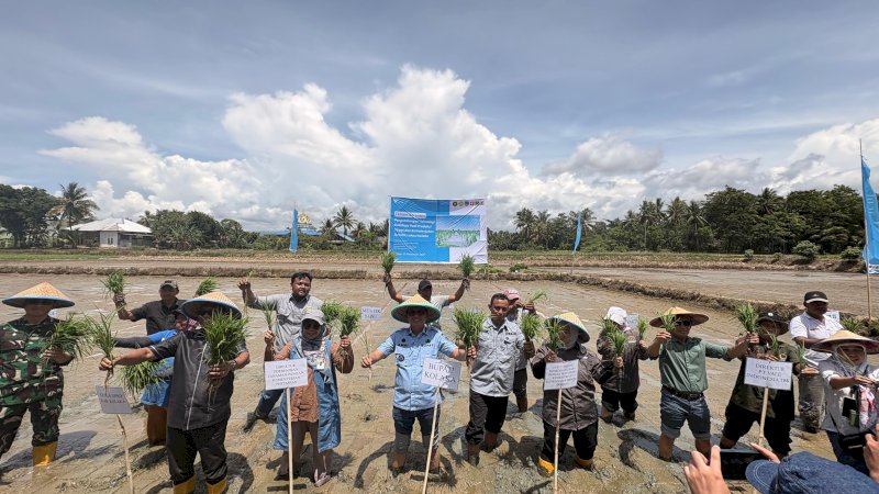 PT Vale Kolaborasi Padi Berkelanjutan untuk Hadirkan Transformasi Pertanian Berbasis Inovasi