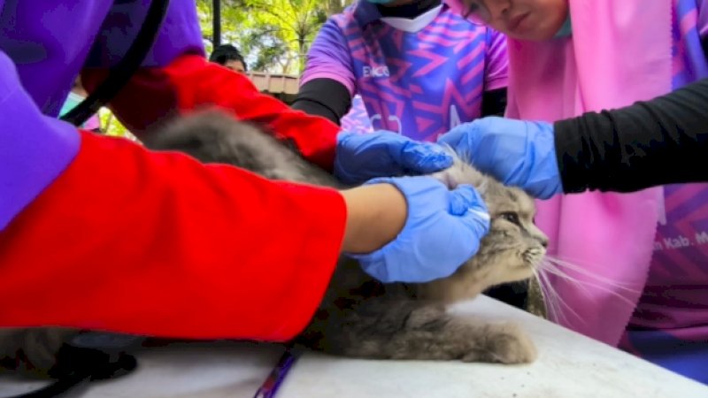 Hari Rabies Sedunia, BBVet dan Pemda Maros Gelar Pemeriksaan Hewan Gratis