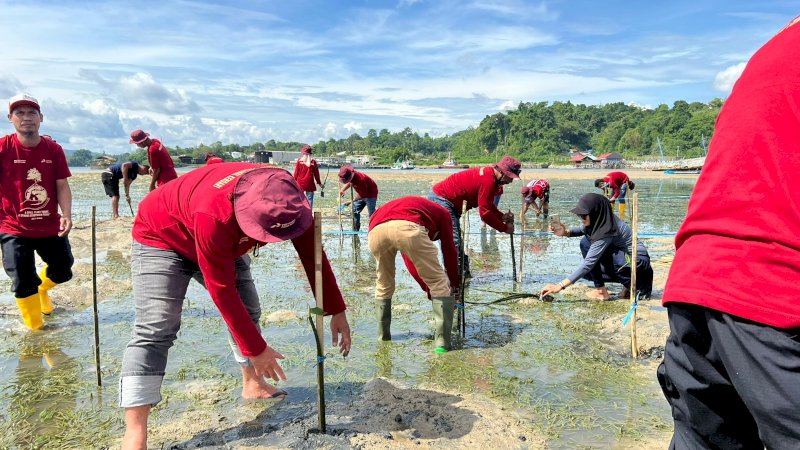 Pertamina Patra Niaga Tanam 1.000 Mangrove di Kendari, Perkuat Ketahanan Pesisir Lewat Program Mata Siaga