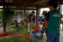 Program Desa Bangkit Sejahtera LAZ Hadji Kalla Tingkatkan Produktivitas dan Pendapatan Petani hingga 60 Persen