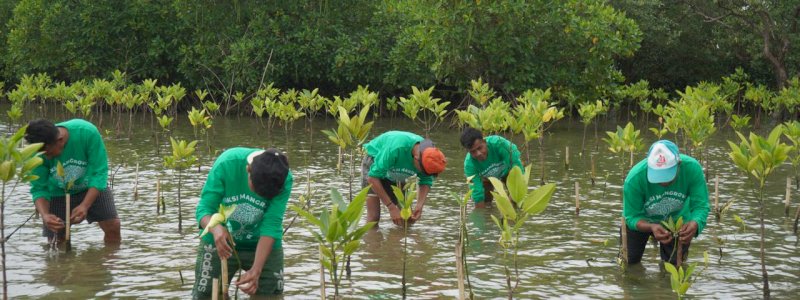 Kantongi SK Bupati, Lokasi CSR Aksi Mangrove Lestari KALLA Resmi Jadi Kawasan Konservasi