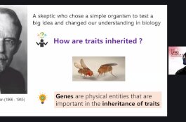 Kelompok Peneliti Universitas Hasanuddin Perkenalkan Lalat Buah Sebagai Model Riset Strategis