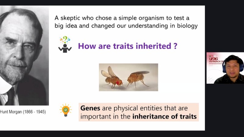 Kelompok Peneliti Universitas Hasanuddin Perkenalkan Lalat Buah Sebagai Model Riset Strategis