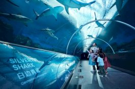 Intip 9 Wahana Favorit di S.E.A. Aquarium Singapore, Cocok Liburan Keluarga