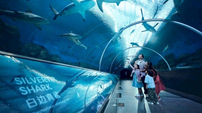 S.E.A. Aquarium Singapore jadi salah satu destinasi wisata yang menarik perhatian pengunjung, terutama keluarga.0