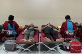 Kalla Translog Perkuat ESG, Donor Darah Rutin dan Distribusi Bibit Pohon Dorong Dampak Sosial Berkelanjutan