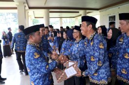 Pimpin Upacara HKN, Tasming Hamid Tekankan Literasi dan Penguatan Karakter ASN