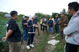 Tinjau Tiga Ruas Jalan di Tinggimoncong, Bupati Gowa Dorong Akses Pertanian dan Wisata Lebih Baik