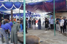 Pelindo Regional 4 Salurkan 35 Sapi Kurban, Perkuat Kepedulian Sosial di Kawasan Pelabuhan