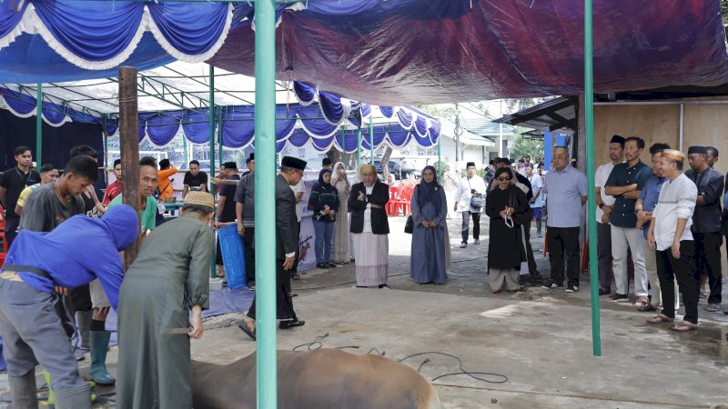 Pelindo Regional 4 Salurkan 35 Sapi Kurban, Perkuat Kepedulian Sosial di Kawasan Pelabuhan