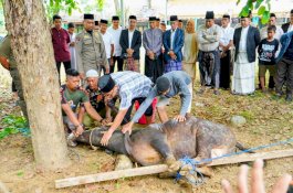 Iduladha Penuh Kepedulian, Andi Rosman Ajak Jajaran Pemkab Wajo Berbagi