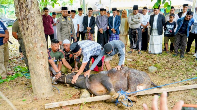 Iduladha Penuh Kepedulian, Andi Rosman Ajak Jajaran Pemkab Wajo Berbagi