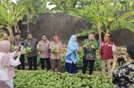 Terima Pendampingan dan Bantuan DP2, Wali Kota Makassar Apresiasi Urban Farming KWT Cinta