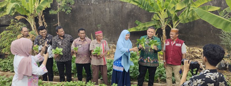 Terima Pendampingan dan Bantuan DP2, Wali Kota Makassar Apresiasi Urban Farming KWT Cinta