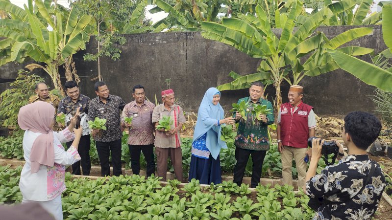 Wali Kota Makassar, Munafri Arifuddin dan Kepala Dinas Perikanan dan Pertanian (DP2) Kota Makassar, Aulia Arsyad saat mengunjungi Kelompok Wanita Tani (KWT) Cinta di RT 01/RW 05, Kelurahan Bangkala, Kecamatan Manggala. (Dok Rakyatku)
