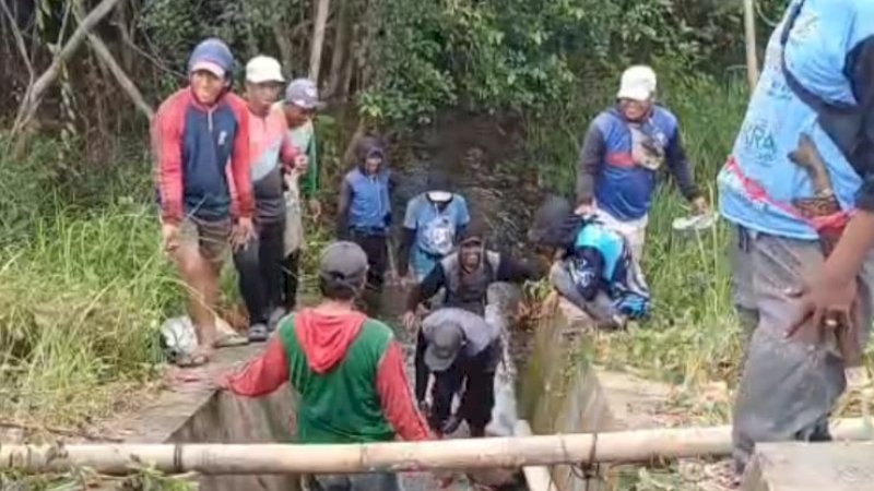 Setelah Petani Mengeluh, Dinas Pertanian Baru Bergerak Atasi Kekeringan