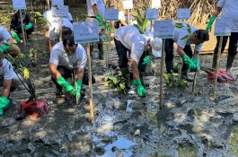 Bandara Internasional Sultan Hasanuddin Tanam Mangrove di Desa Ampekale Maros
