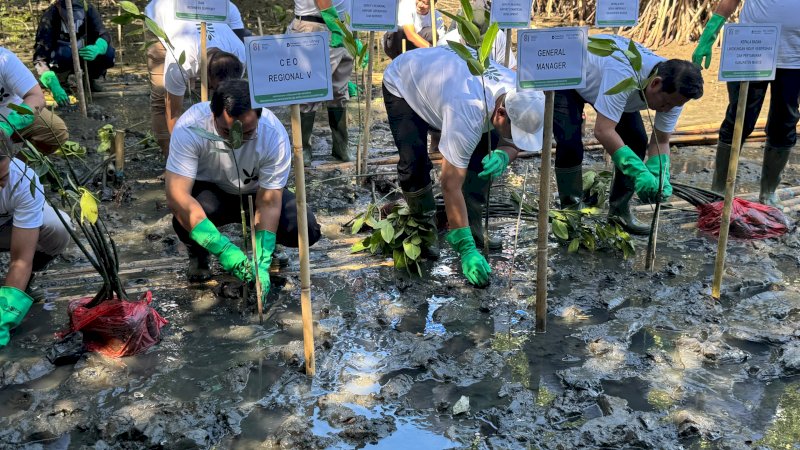 Bandara Internasional Sultan Hasanuddin Tanam Mangrove di Desa Ampekale Maros