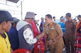 Panen Perdana Program Listrik Sawah di Wajo, Bupati Andi Rosman Dorong Produktivitas Petani