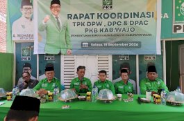 TPK DPW PKB Kawal Penataan Struktur Anak Cabang dan Ranting di Kabupaten Wajo