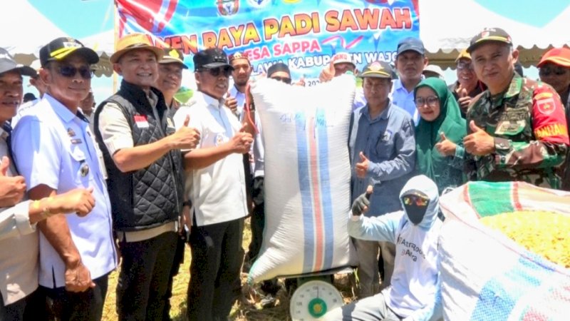 Panen Raya di Tengah Kemarau, Bupati Wajo Apresiasi Para &ldquo;Pejuang Pertanian&rdquo; Desa Sappa