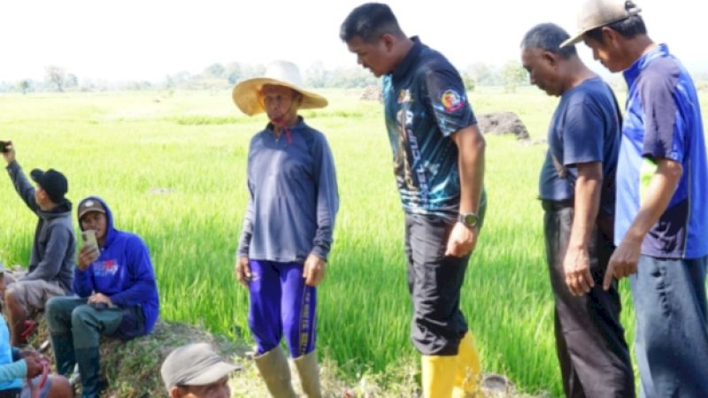 Hadapi El Nino, Bupati Bantaeng Bersihkan Irigasi Bersama Petani