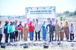 Bupati Bantaeng Tanam Jagung Program Penangkaran Kolaborasi Unhas