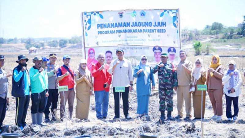 Bupati Bantaeng Tanam Jagung Program Penangkaran Kolaborasi Unhas