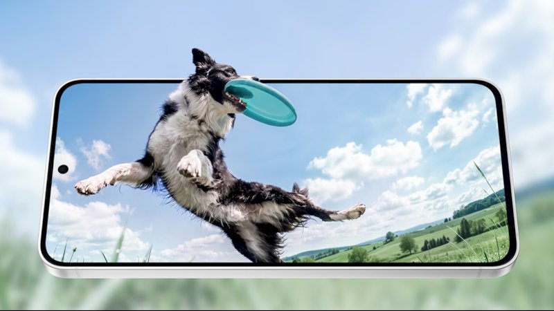 Galaxy S FE dibekali kamera utama 50MP, kamera ultra-wide 12MP, serta kamera telefoto 8MP dengan 3x optical zoom dan Space Zoom hingga 30x. Kehadiran fitur baru seperti My FanCam memungkinkan subjek tetap berada di tengah frame secara otomatis setelah perekaman, dilengkapi Super Steady Video with Horizontal Lock serta kemampuan perekaman video 8K dan Nightography Video.  