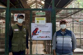 Selamatkan Burung Sampiri dari Ancaman Kepunahan, Pertamina Bitung Perkuat Program Konservasi