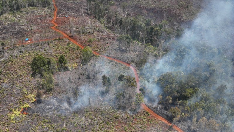 Oknum Warga Diduga Jadi Penggerak Karhutla Masif dan Perambahan Liar di Morowali