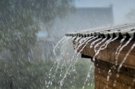 Kementan Gerak Cepat Antisipasi Wilayah Banjir di Saat Musim Kemarau