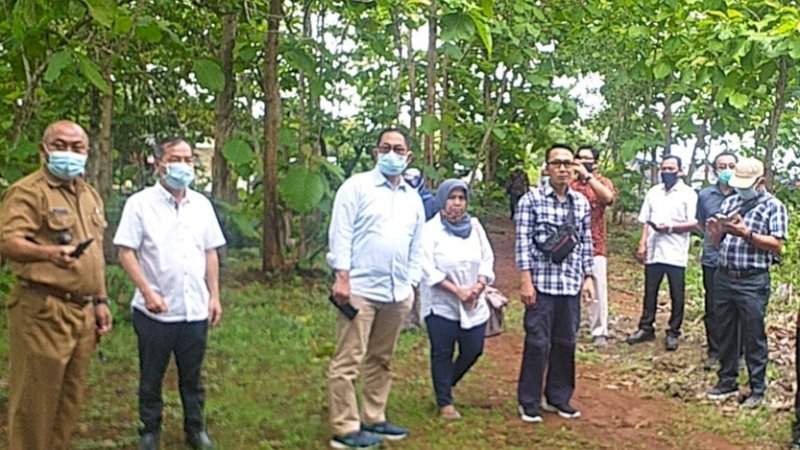 Penuhi Permintaan Industri, Kementan Dorong Investasi Jagung Rendah Aflatoksin di Gunung Kidul