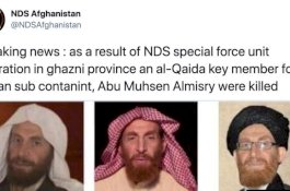 Pasukan Afghanistan Tewaskan Pemimpin Senior Al-Qaeda