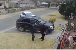 Heroik, Anjing Selamatkan Tuannya dari Perampokan Bersenjata