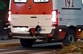 Anjing Setia Ikuti Ambulans untuk Temani Pemiliknya yang Sakit