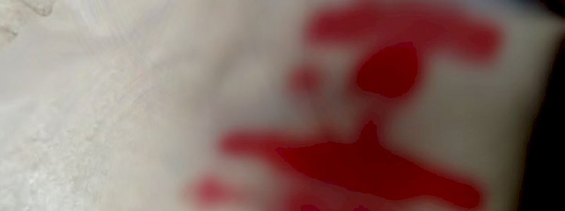 Bagi Beras Pilwalkot Makassar, Bawaslu Limpahkan ke Kepolisian