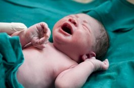 Perempuan Ini Lahirkan Bayi yang Miliki Antibodi Covid-19