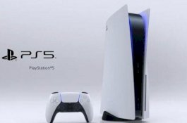 Apes, Belanja Online PS5 yang Datang Malah Makanan Kucing