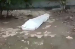 Ditutupi Kain Putih Dikira Jenazah, Eh Ternyata...