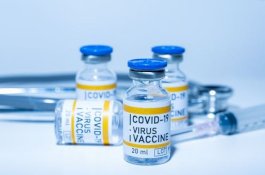 BPOM: Pfizer, AstraZeneca, dan Sputnik Ingin Uji Vaksin Covid-19 di Indonesia