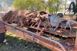 Buaya Sepanjang 4,4 Meter Ditemukan di Australia