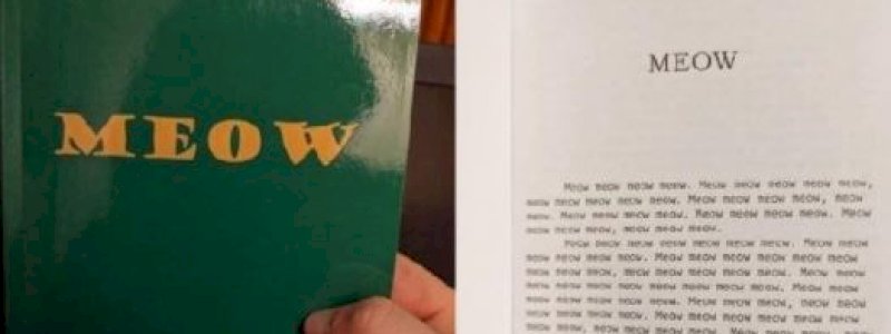 Viral Pria Ini Beli Buku tentang Kucing, Isinya Hanya Tulisan Meow