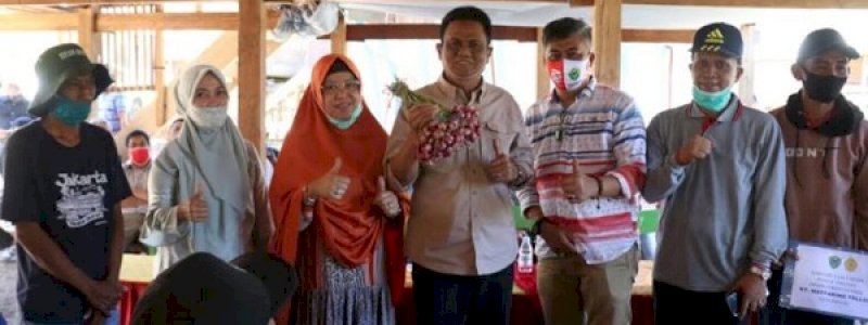 Pengembangan Kawasan Hortikultura Barru, Suardi Saleh Motivasi Petani Bawang di Paddumpu