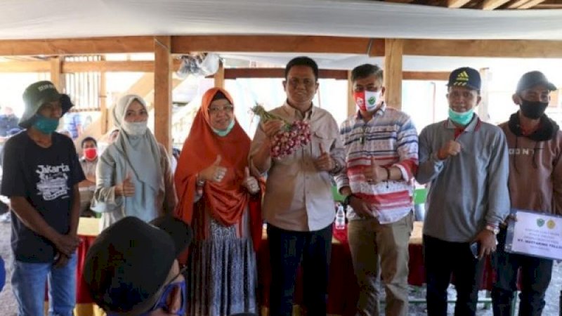 Bupati Barru, Suardi Saleh, menghadiri undangan silaturahmi melihat langsung semangat warga yang bahagia atas hasil panen bawang merah di Paddumpu, Desa Balusu, Kabupaten Barru, Minggu (23/8/2020).