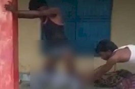 Kobra Masuk Celananya saat Tidur, Pria Ini Berdiri Mematung hingga Pawang Datang 7 Jam Kemudian