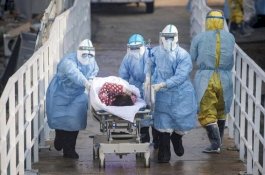 Positif Covid-19 di Parepare Tembus 218 Kasus, Terbanyak Tertular di Perkantoran