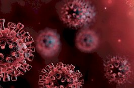 Berikut 4 vitamin Untuk Meningkatkan Imun Untuk Lawan Covid-19