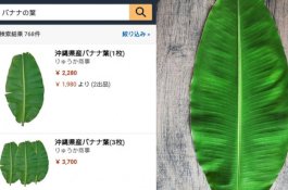 Di Jepang, Daun Pisang Dijual Rp445 Ribu Per 3 Lembar, Begini Penampakannya